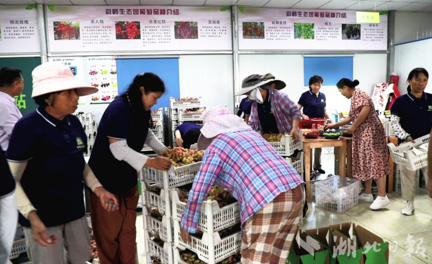 2025最新开户送体验金68